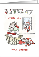 Merry Christmas for Catsitter, Cute cats sleep, Santa brings present card