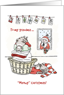 Merry Christmas for grandma, Cute cats sleep, Santa brings present card