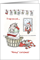 Merry Christmas for pen pal, Cute cats sleep, Santa brings present card