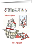 Auguri di Buon Natale, General Italian Christmas Card, Sleepy Cats card