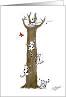 Fluffy the Cat meets a bee in a tree - Get Well Soon card