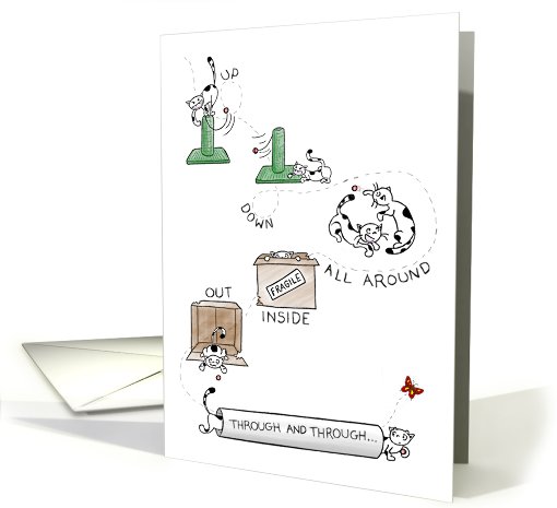 Fluffy the Cat loves his ball - Happy Anniversary to boyfriend card