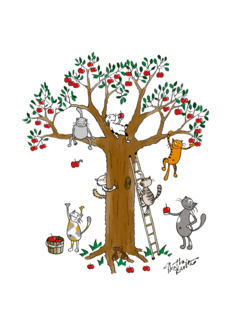 Cats picking apples ...