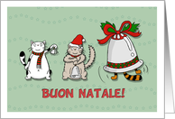 Merry Christmas General (Italian) - Cute cats play music with bells card