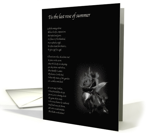 Last Rose of Summer card (825201)