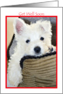 Get Well Soon - Cute Westie Puppy card