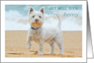 Get Well Soon Westie Dog on beach customizable card