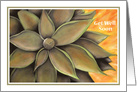 Get Well Soon - Agave Plant card