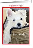 Happy Birthday Cute Puppy - Customisable Name Card
