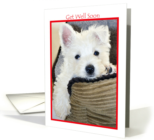 Get Well Soon - Cute Westie Puppy card (1216330)