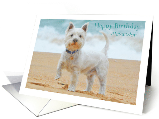 Happy Birthday Westie on the Beach customizable card (1432944)