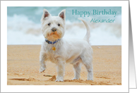 Happy Birthday Alexander-Westie on the Beach customizable name card