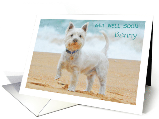 Get Well Soon Westie Dog on beach customizable card (1432946)