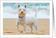 Get Well Soon Westie Dog on beach customizable card