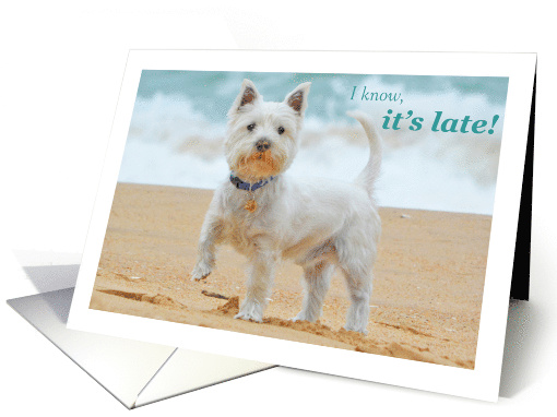 Belated Birthday - Sea Dog card (1432948)
