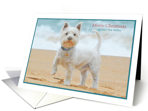 Merry Christmas Across the Miles Westie Dog on the Beach card