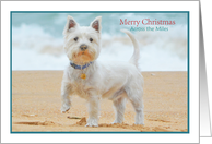 Merry Christmas Across the Miles Westie Dog on the Beach card