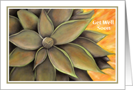 Get Well Soon - Agave Plant card