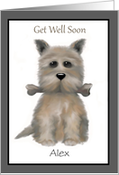 Get Well Soon Dog...