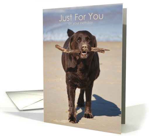 Just For You on your birthday- card (857360)