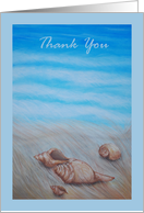 Thank You- Shells on a sand dune by the sea card