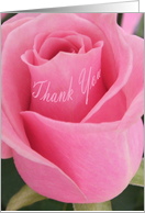 Thank You- Pink Rose