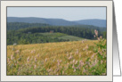 Wellsboro, Pennsylvania Rural Landscape Vista card