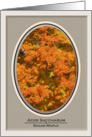 Acer Saccharum, Oval Sugar Maple in Fall card