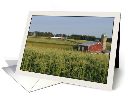 Farming Corn in Wellsboro, PA card (828006)