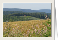 Wellsboro, Pennsylvania Rural Landscape Vista card