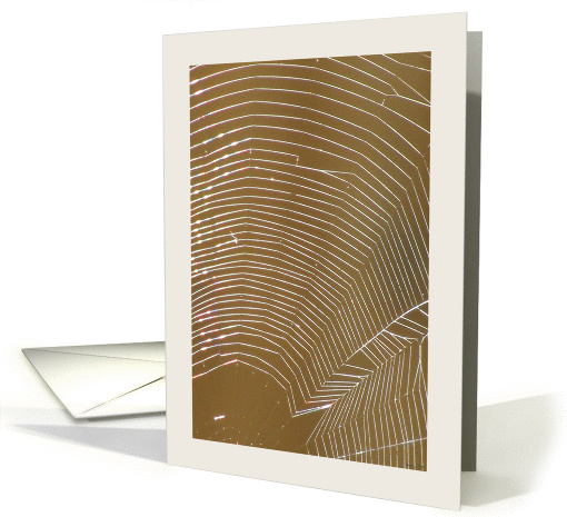 Spider Web card (849543)