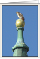 Bulfinch Church Steeple with Steeple Hawk Blank Note Card
