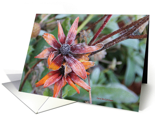 Frozen Flower card (877935)
