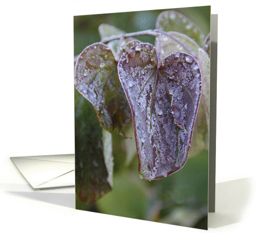 Frosty Fall Leaves card (877937)