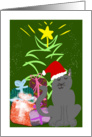 Santa Hat Cat card