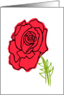 Thinking of You Red Rose card
