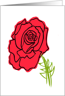 Thinking of You Red Rose card