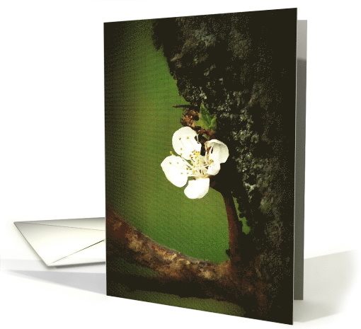 Happyness card (828933)