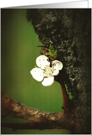 Happyness card