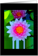 Lotus Flower card