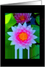 Lotus Flower card