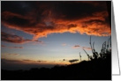 Sunset in Monteverde Costa Rica card