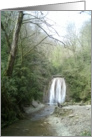 Enchanted Forest Waterfall card