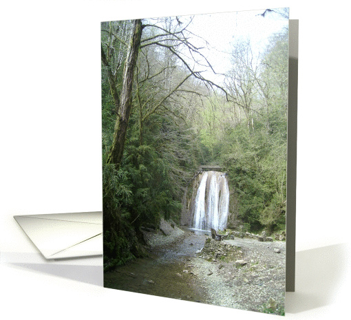 Enchanted Forest Waterfall card (832156)