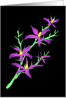 Purple flowers card