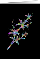 Multicolor flower branch card