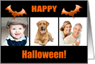 Happy Halloween Bats Photo Card