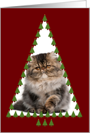 Christmas Tree Photo Card