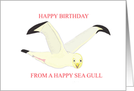 Happy Birthday Seagull card