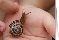 Happy Birthday for a Boy That Loves Snails! card